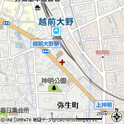 福井県大野市弥生町1-9周辺の地図