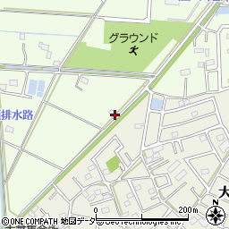 埼玉県春日部市金崎1204周辺の地図