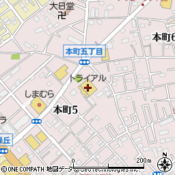 ディスカウントストアトライアル上尾本町店周辺の地図