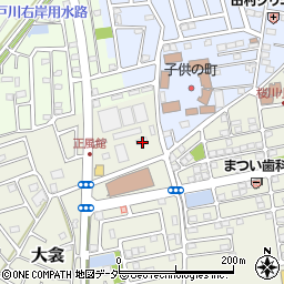埼玉県春日部市大衾493周辺の地図