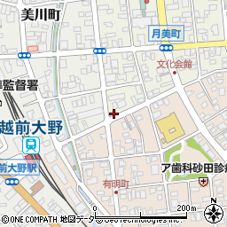 福井県大野市月美町1-14周辺の地図