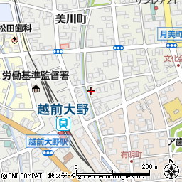 福井県大野市美川町9-5周辺の地図