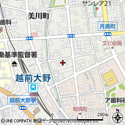 福井県大野市美川町9-8周辺の地図