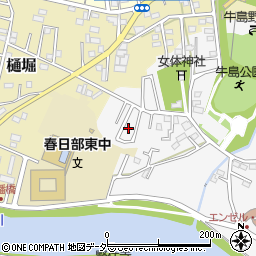 埼玉県春日部市牛島572周辺の地図