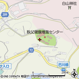 埼玉県秩父市久那289周辺の地図