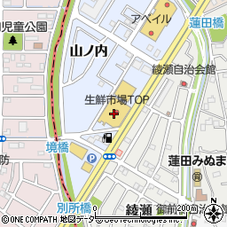 イイズカ薬品蓮田山ノ内店周辺の地図