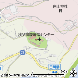 埼玉県秩父市久那283周辺の地図
