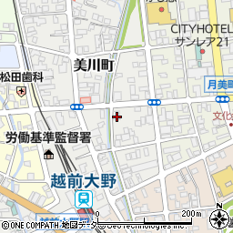 福井県大野市美川町10-6周辺の地図