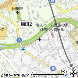 埼玉県春日部市粕壁6035周辺の地図