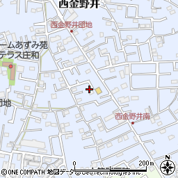 埼玉県春日部市西金野井19周辺の地図