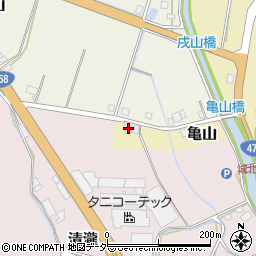 福井県大野市亀山131周辺の地図