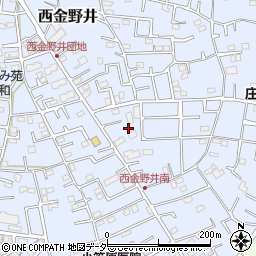 埼玉県春日部市西金野井1859周辺の地図