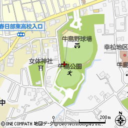 埼玉県春日部市牛島319周辺の地図