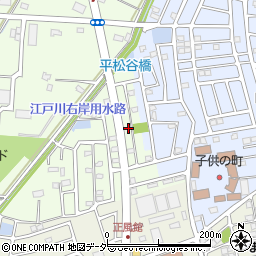 埼玉県春日部市金崎1243周辺の地図