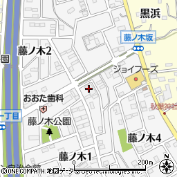 埼玉県蓮田市藤ノ木周辺の地図