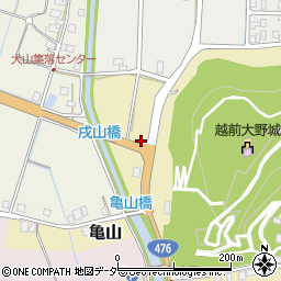 福井県大野市亀山232周辺の地図