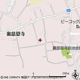 埼玉県さいたま市岩槻区裏慈恩寺周辺の地図