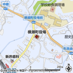 埼玉県横瀬町（秩父郡）周辺の地図
