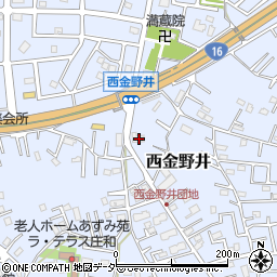 埼玉県春日部市西金野井1819周辺の地図