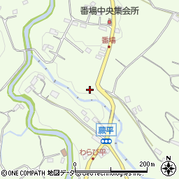 埼玉県秩父郡小鹿野町長留周辺の地図