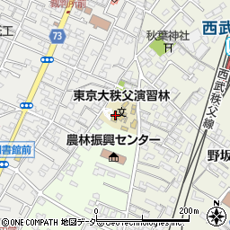 東京大学　秩父演習林周辺の地図