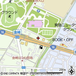 埼玉県春日部市金崎640周辺の地図