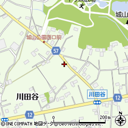 埼玉県桶川市川田谷2433周辺の地図