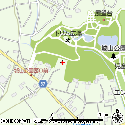 埼玉県桶川市川田谷2556周辺の地図