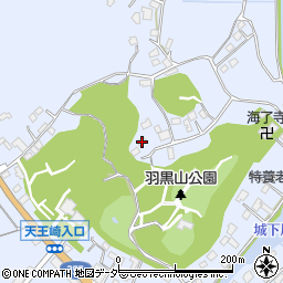 茨城県行方市麻生962周辺の地図