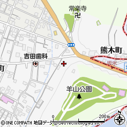 秩父成田山周辺の地図