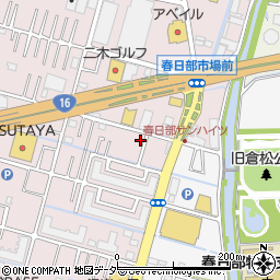 埼玉県春日部市小渕173-9周辺の地図