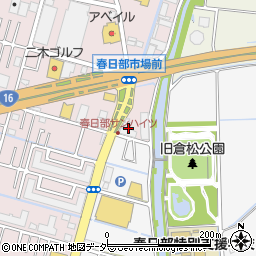 埼玉県春日部市小渕207周辺の地図