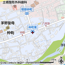 長野県茅野市仲町17-4周辺の地図