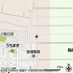 埼玉県春日部市内牧5402周辺の地図