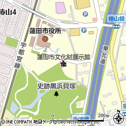 蓮田市役所　文化財展示館周辺の地図