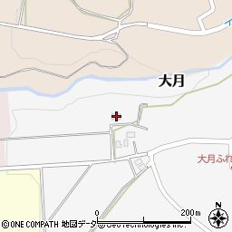 福井県大野市大月1周辺の地図