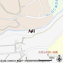 福井県大野市大月周辺の地図