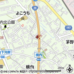 長野県茅野市ちの横内3248-1周辺の地図