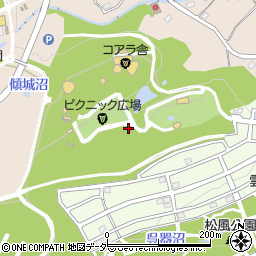 埼玉県東松山市岩殿375周辺の地図
