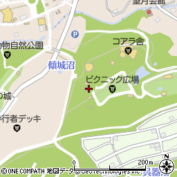 埼玉県東松山市岩殿353周辺の地図