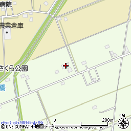 埼玉県春日部市金崎210周辺の地図