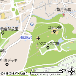 埼玉県東松山市岩殿379周辺の地図