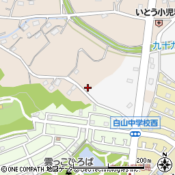 埼玉県東松山市岩殿164周辺の地図