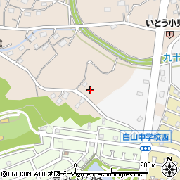 埼玉県東松山市岩殿163周辺の地図