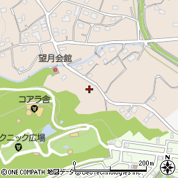 埼玉県東松山市岩殿205周辺の地図