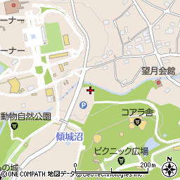 埼玉県東松山市岩殿344周辺の地図