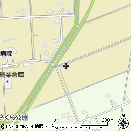 埼玉県春日部市上金崎273周辺の地図