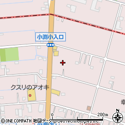 埼玉県春日部市小渕1541周辺の地図