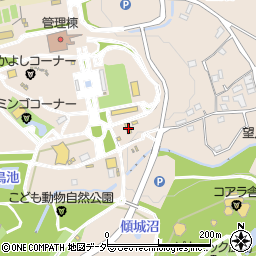 埼玉県東松山市岩殿491周辺の地図