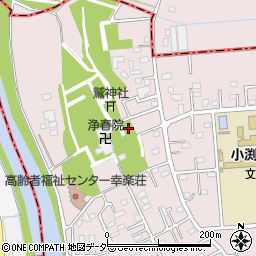 埼玉県春日部市小渕2149周辺の地図